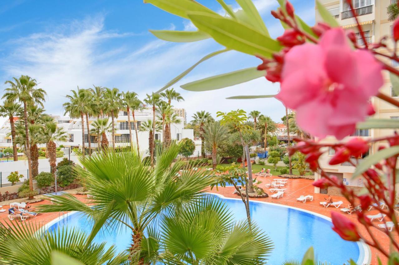 Studio Eldorado In Playa De Las Americas Near The Beach Arona  Zewnętrze zdjęcie